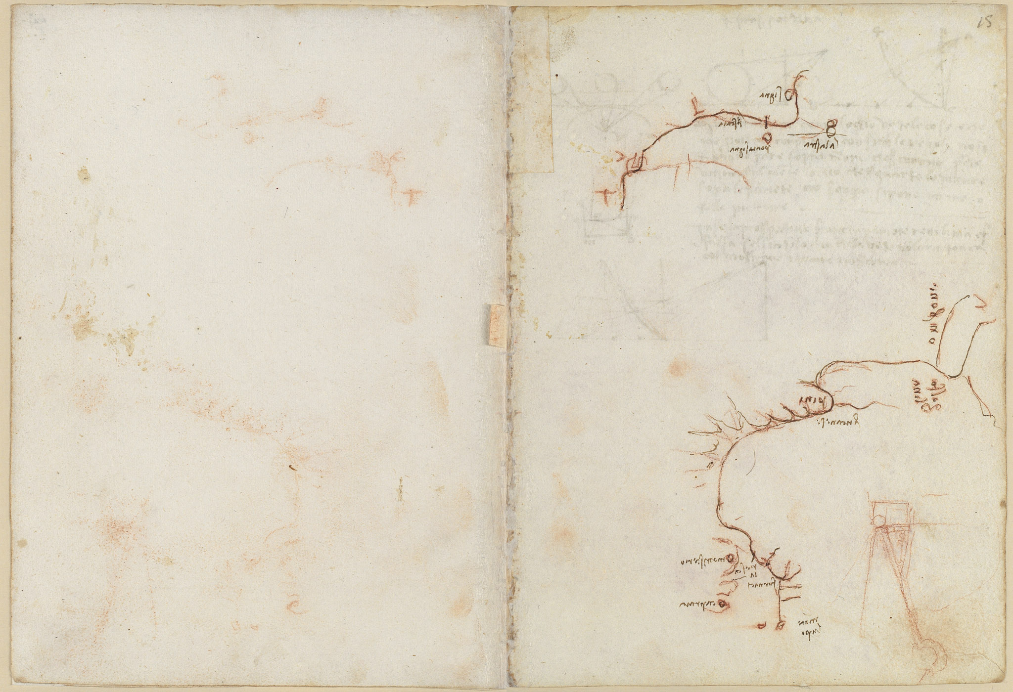 Codex Madrid II — f 14v-f 15r