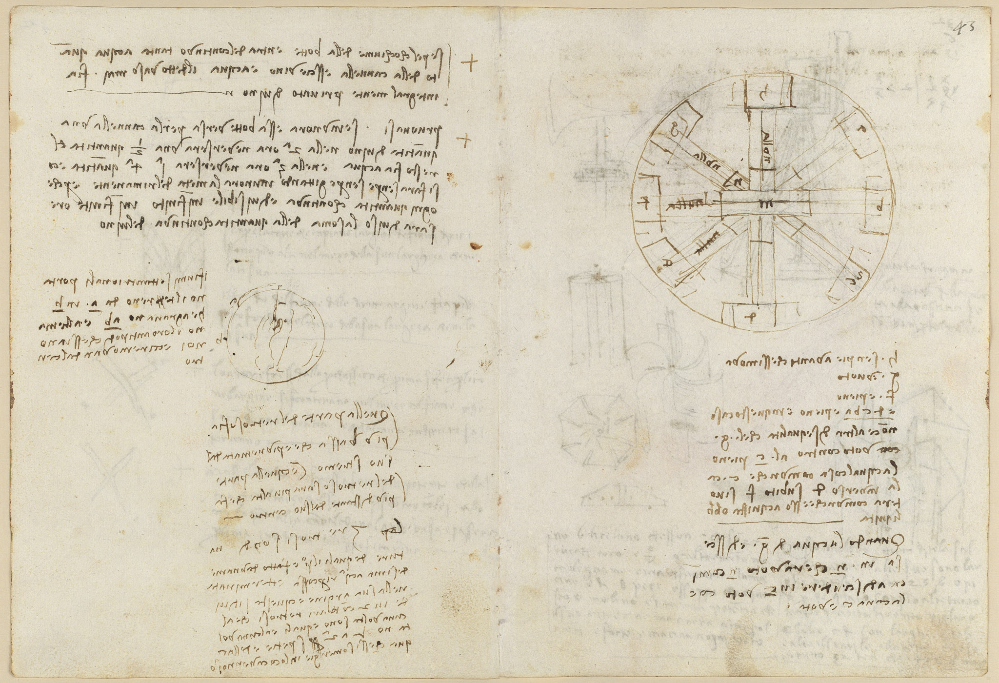 Codex Madrid II — f 42v-f 43r