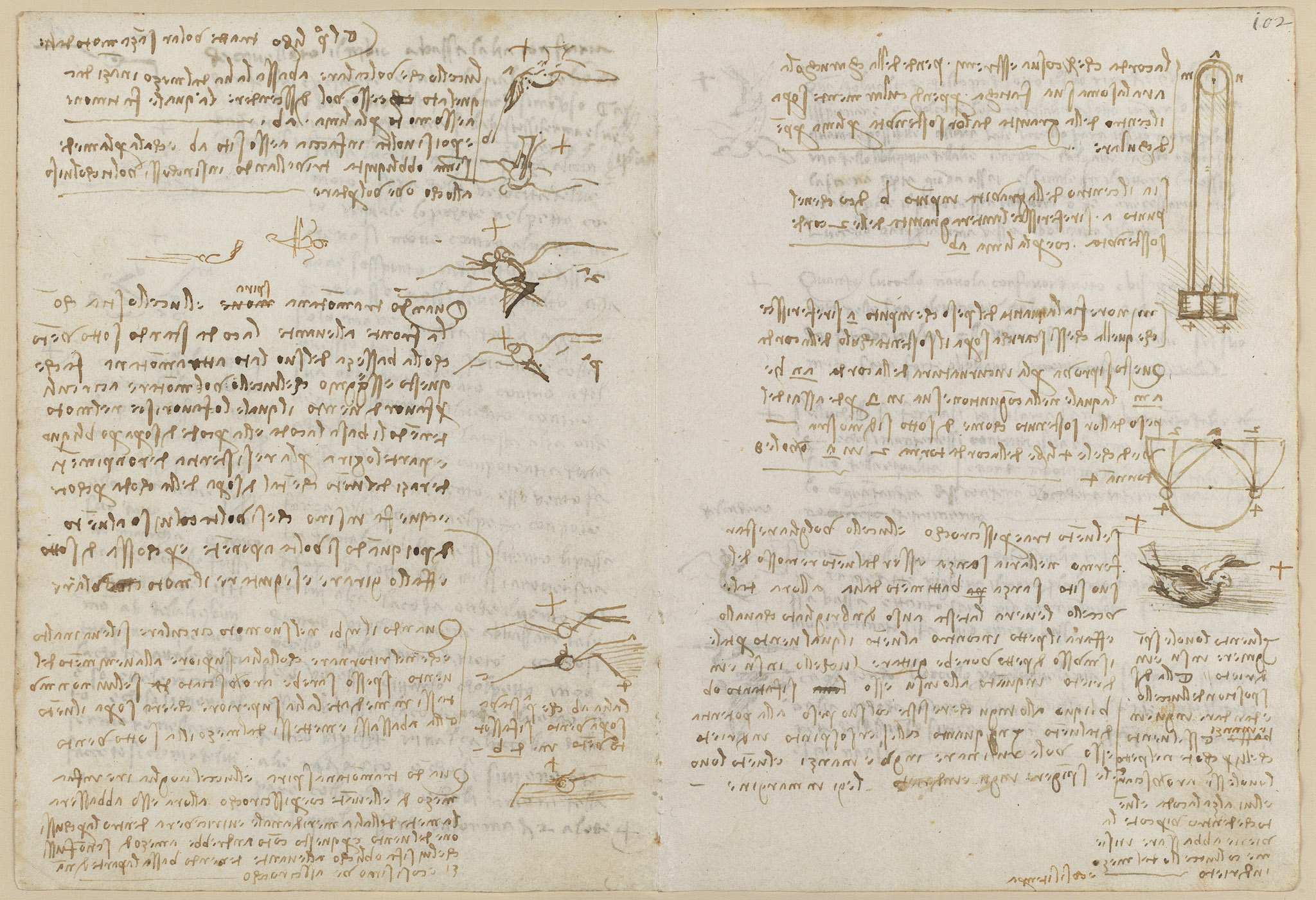 Codex Madrid II — f 101v-f 102r