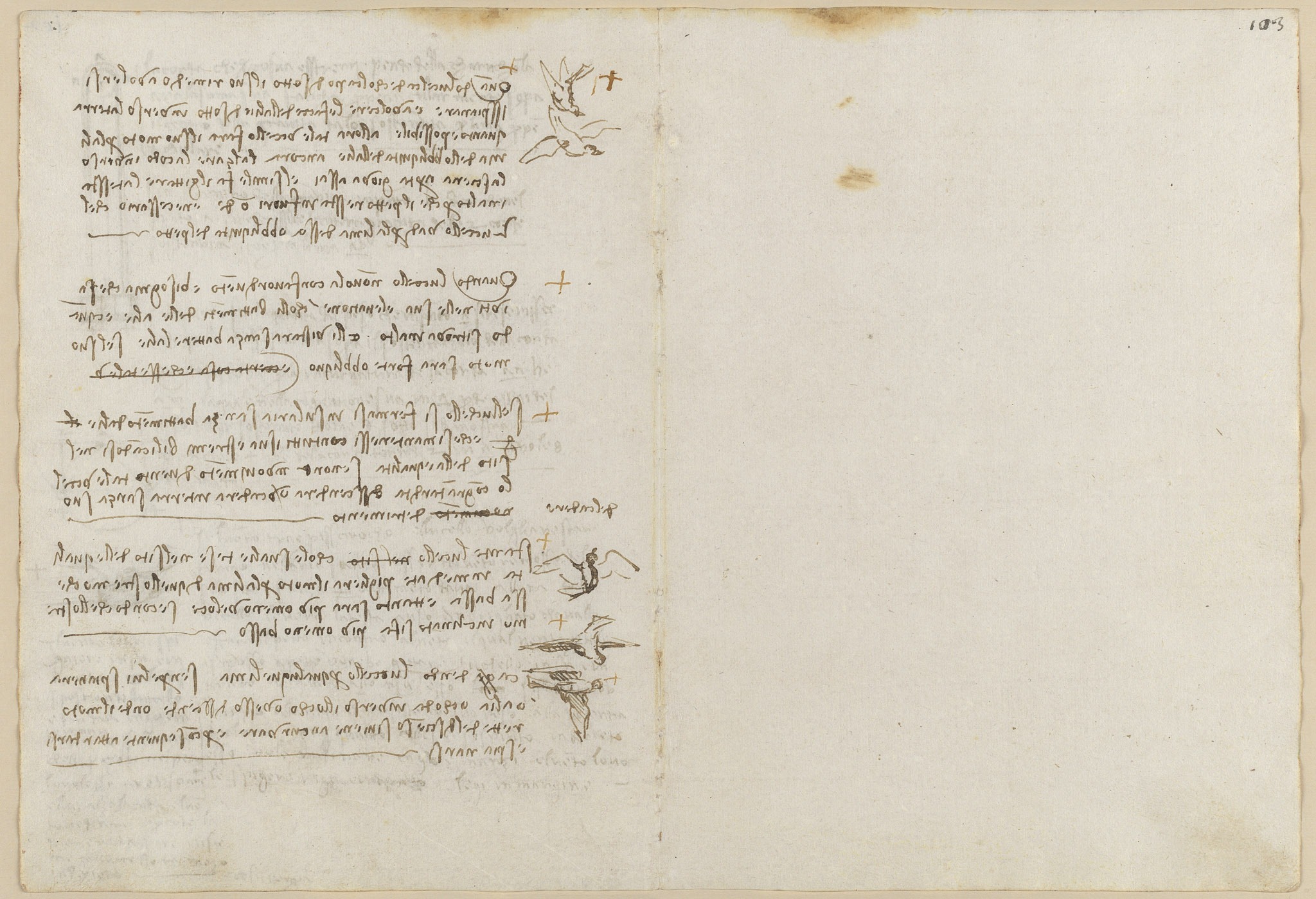 Codex Madrid II — f 102v-f 103r