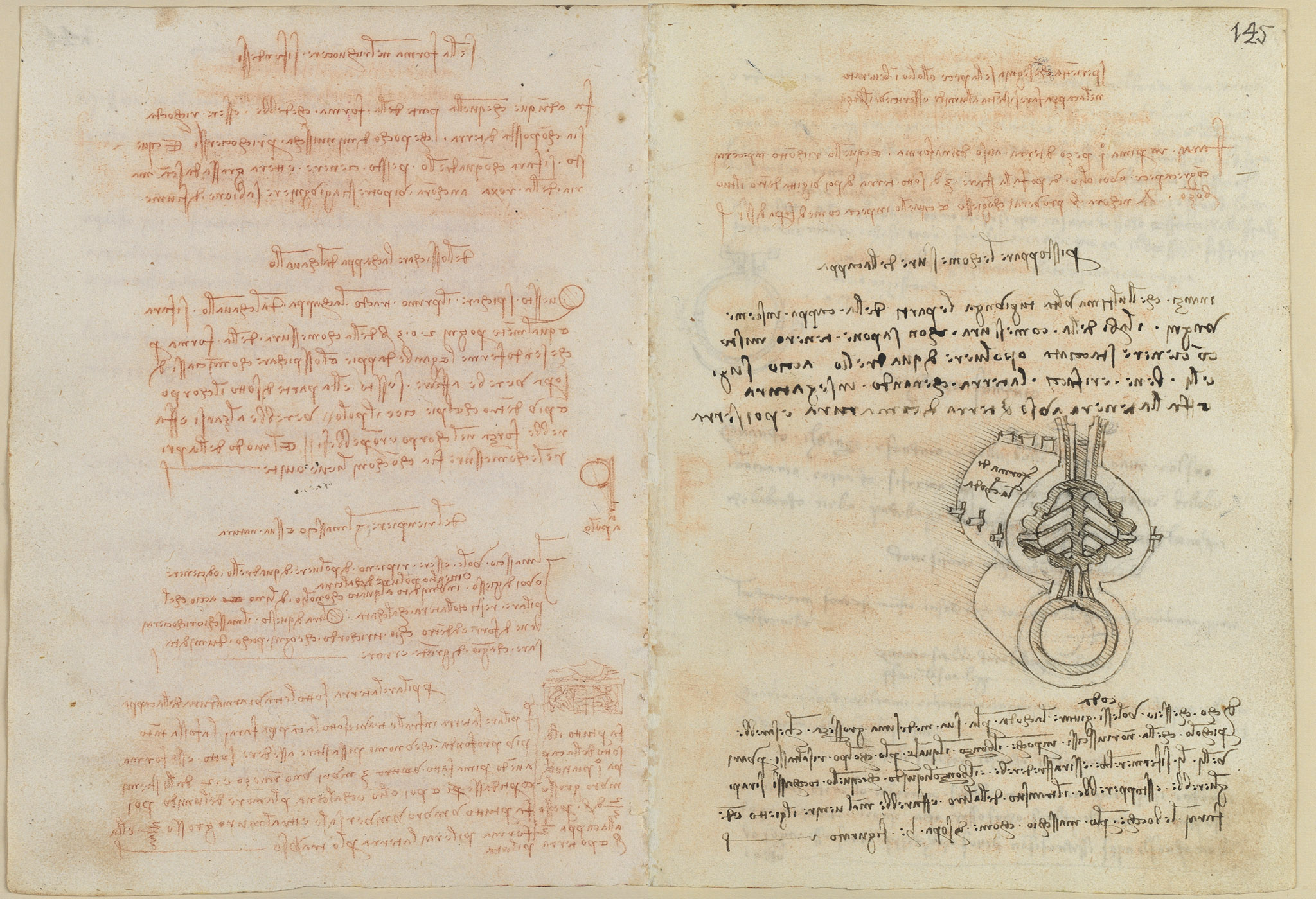 Codex Madrid II — f 144v-f 145r