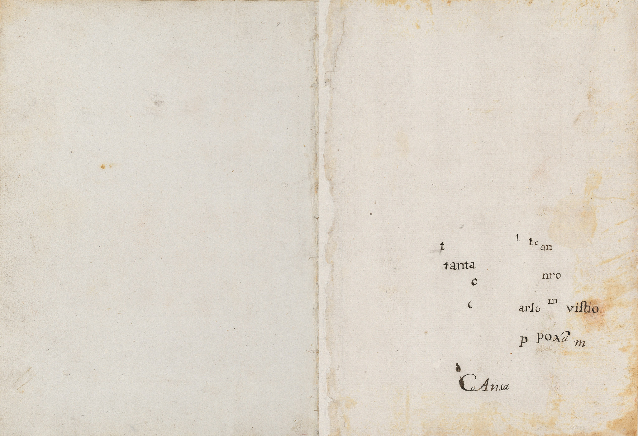 Codex Madrid II — -