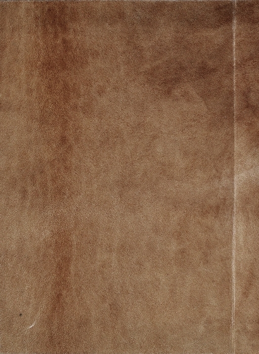 Codex Madrid I — -