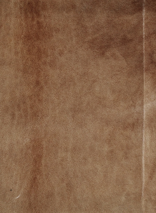Codex Madrid II — -